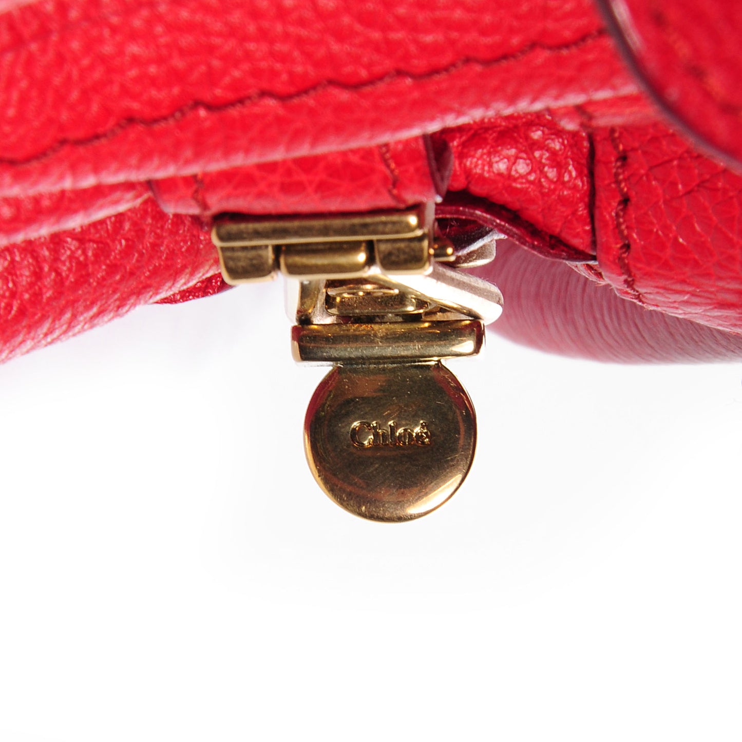 Calfskin Medium Paraty Holly Berry
