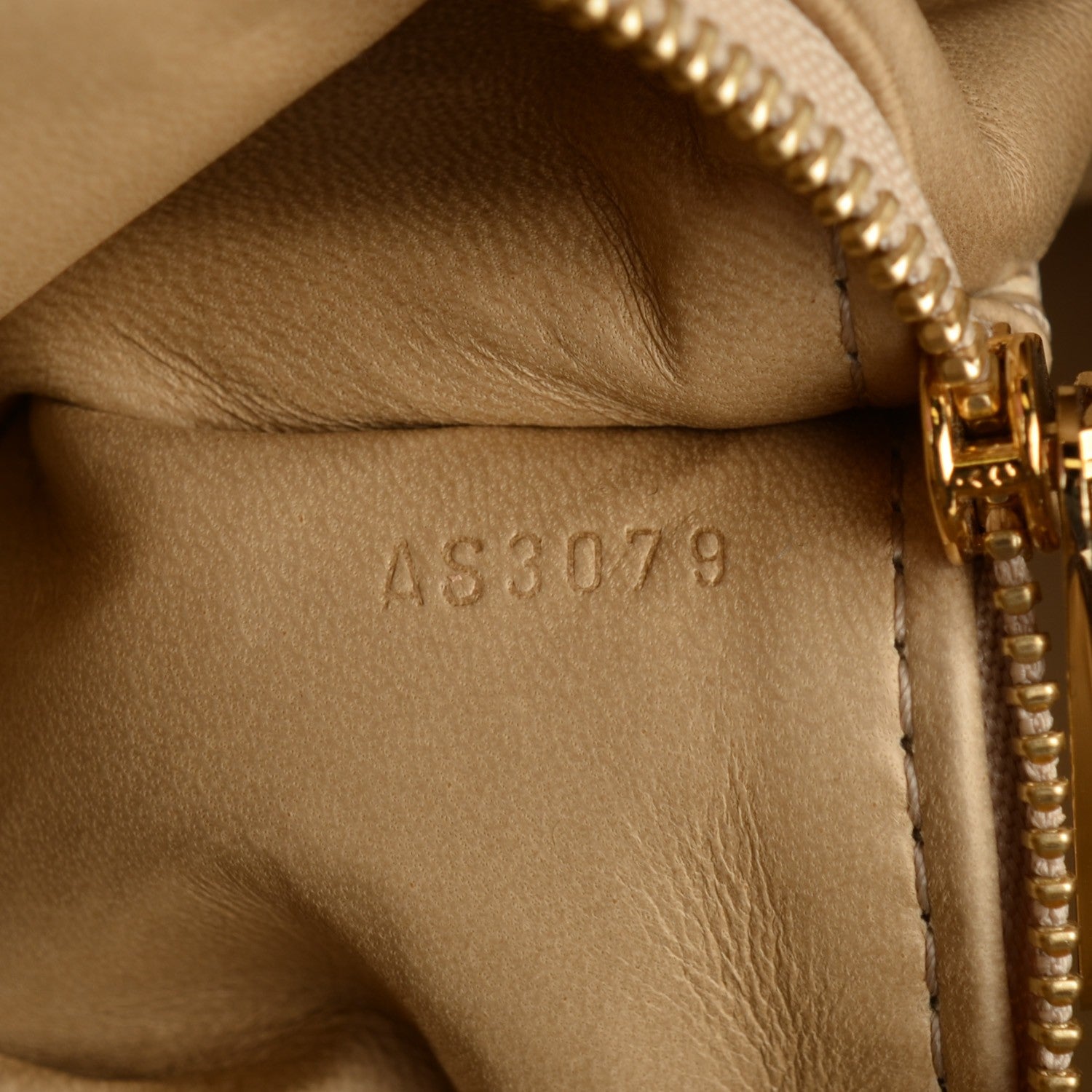 Louis Vuitton Python Galliera PM Gris 6 of 7