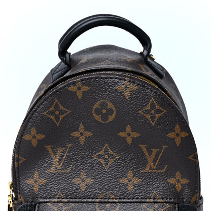 Louis Vuitton Monogram Palm Springs Backpack Mini 6 of 9