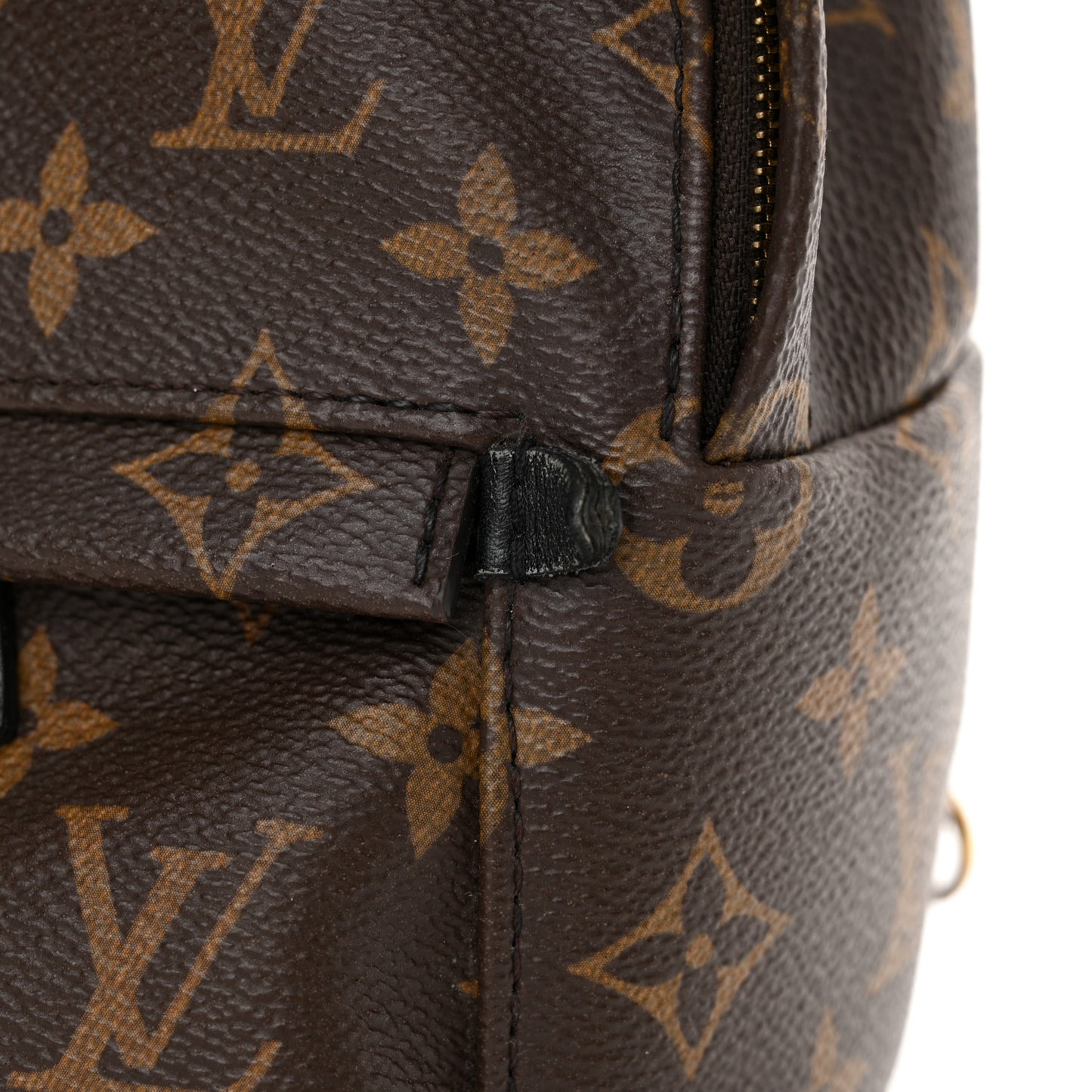 Monogram Palm Springs Backpack Mini