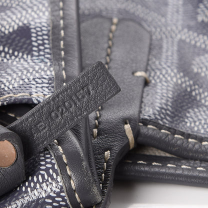 Goyard Goyardine Saint Louis PM Grey 8 of 8