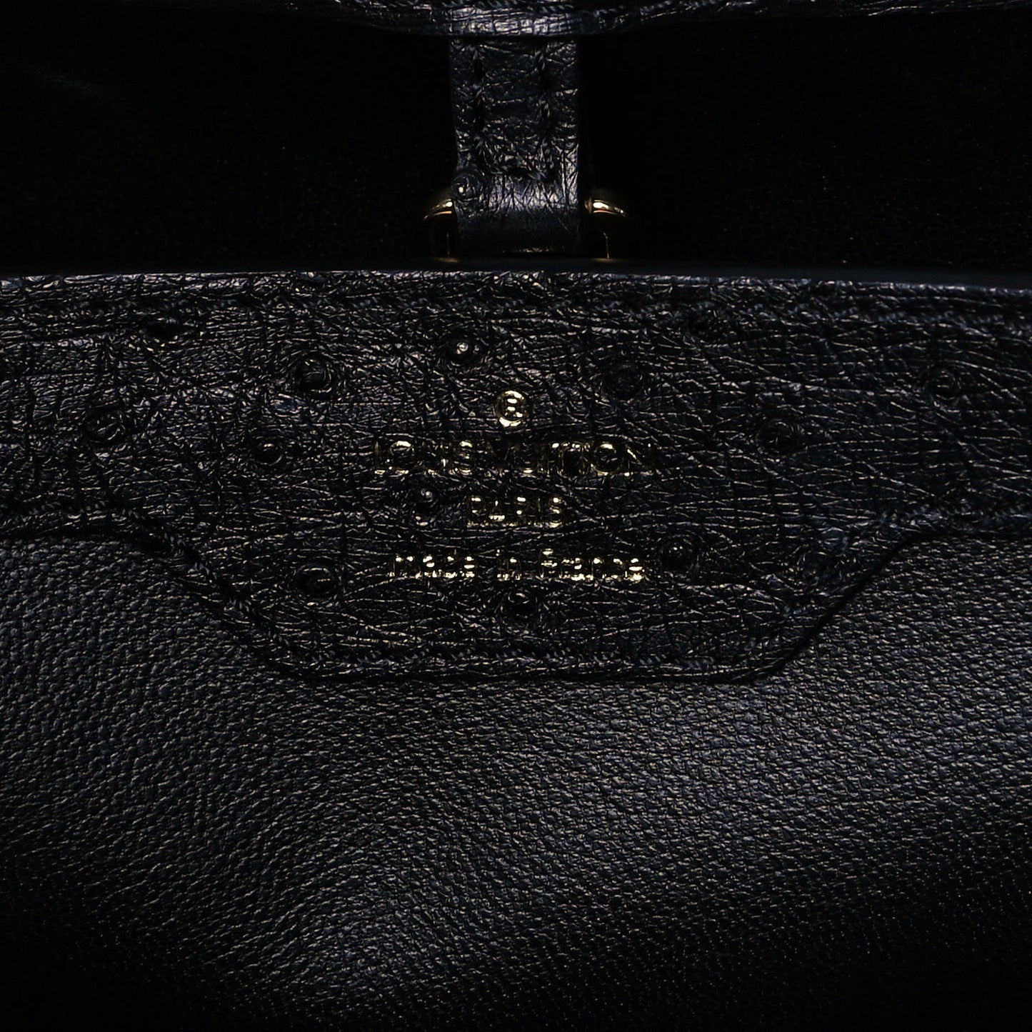 Ostrich Capucines MM Black