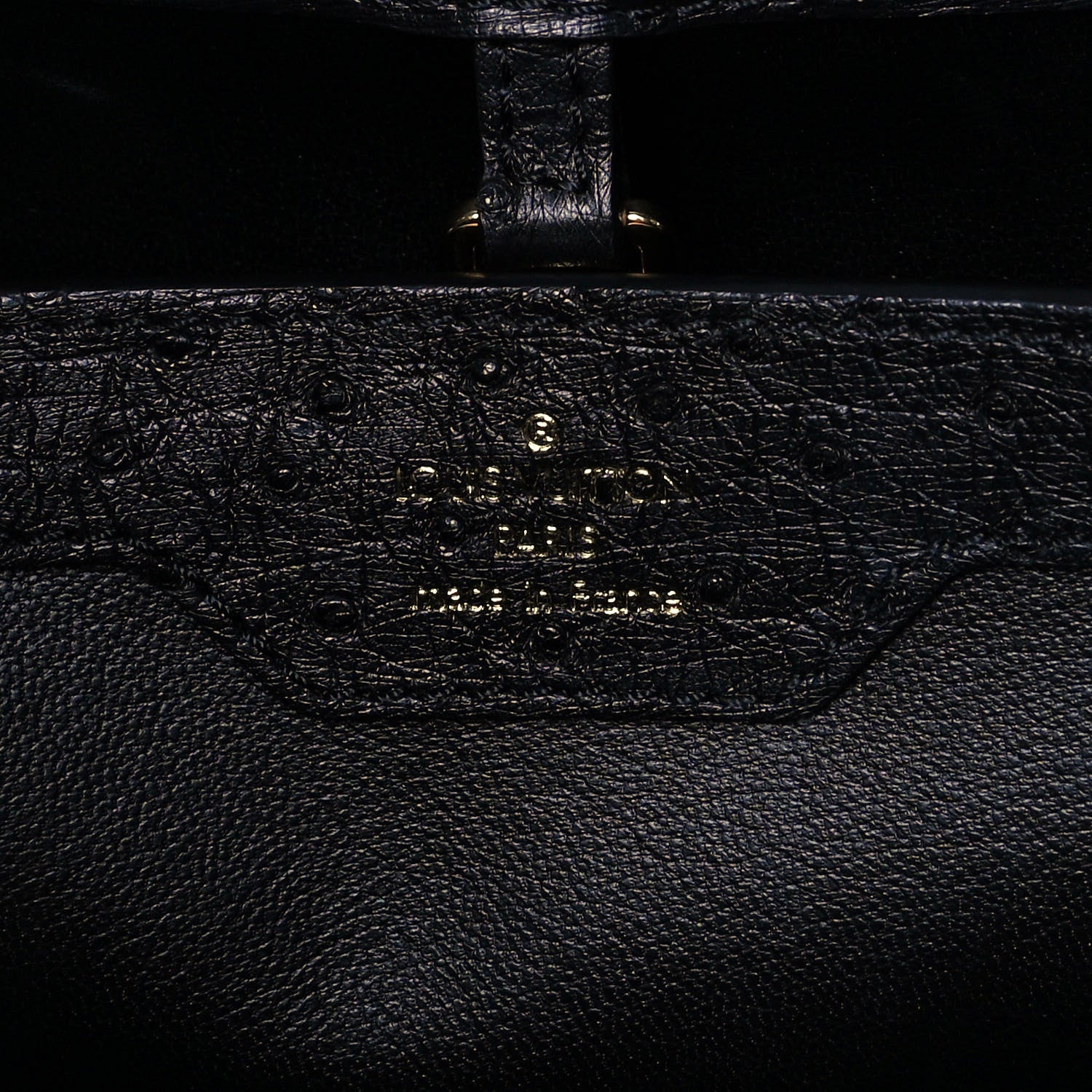Louis Vuitton Ostrich Capucines MM Black 5 of 9