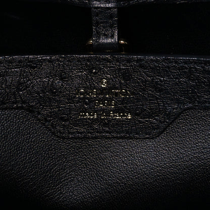 Louis Vuitton Ostrich Capucines MM Black 5 of 9