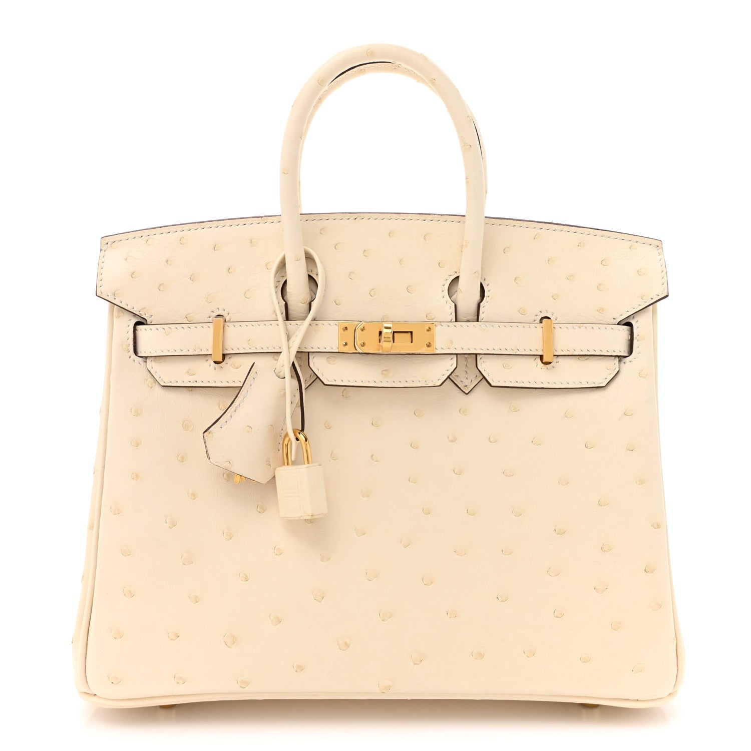 Hermes Ostrich Birkin 25 Nata 1 of 12