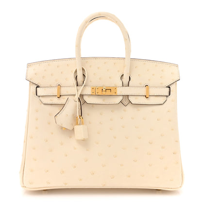 Hermes Ostrich Birkin 25 Nata 1 of 12