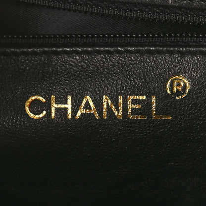 Chanel Lizard Quilted CC Single Flap Bag Black 6 of 13