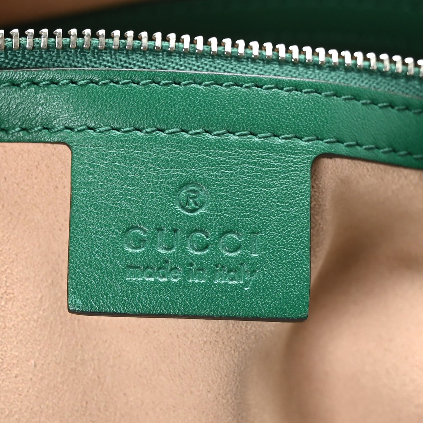 Calfskin Web Stripe Medium Dionysus Hobo Emerald