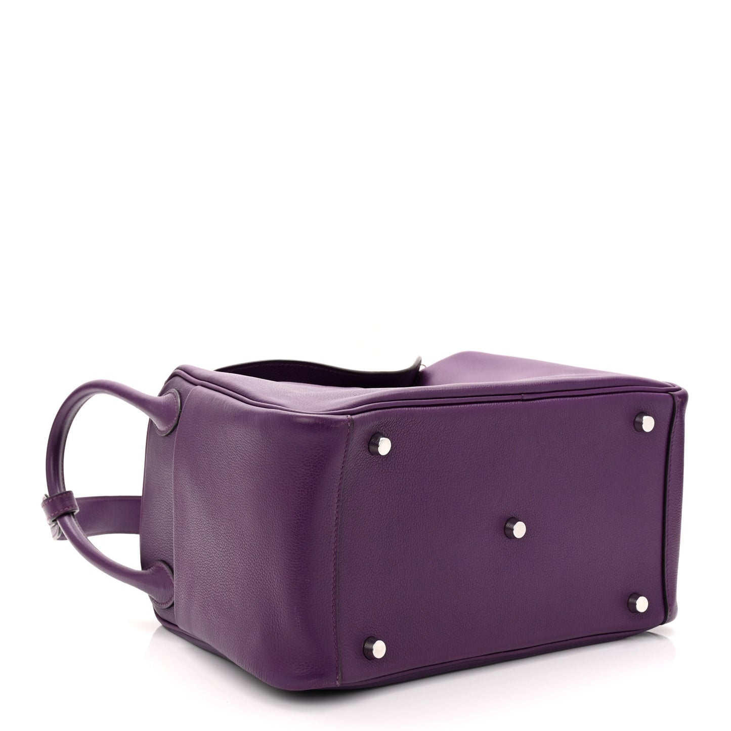 Taurillon Clemence Lindy 30 Anemone