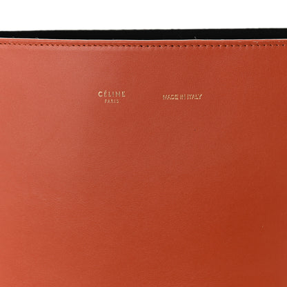 Celine Shiny Smooth Calfskin Felt Zebra Printed Calf Hair Small Twisted Cabas Chalk Brick 8 of 11