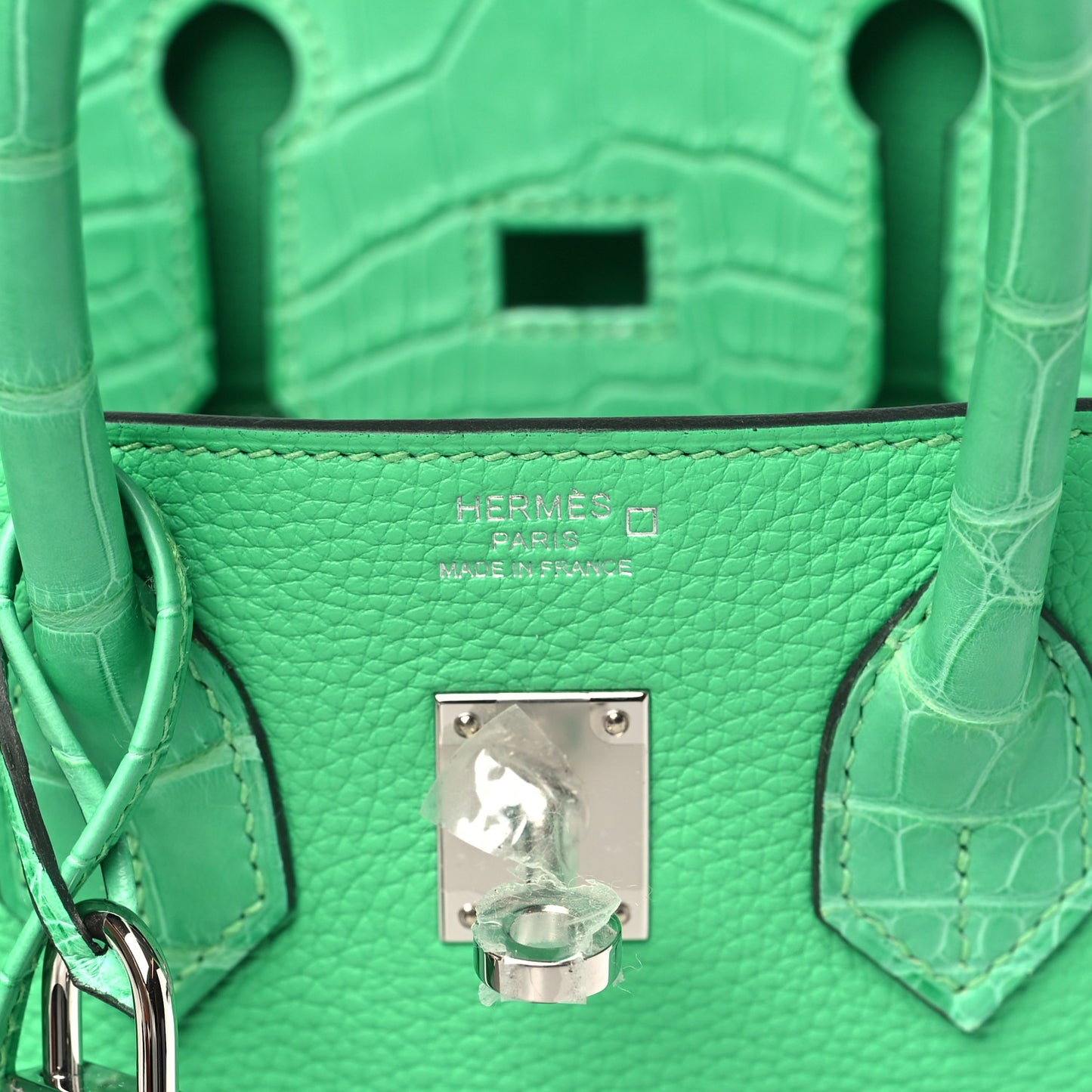 Togo Matte Alligator Birkin Touch 25 Vert Comics