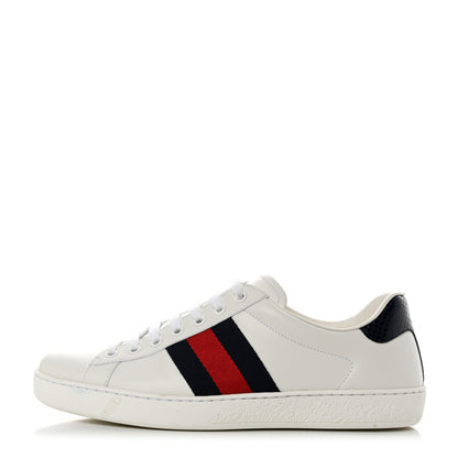 Gucci Miro Soft Calfskin Ayers Web Mens Ace Sneakers 7 White Blue 1 of 10