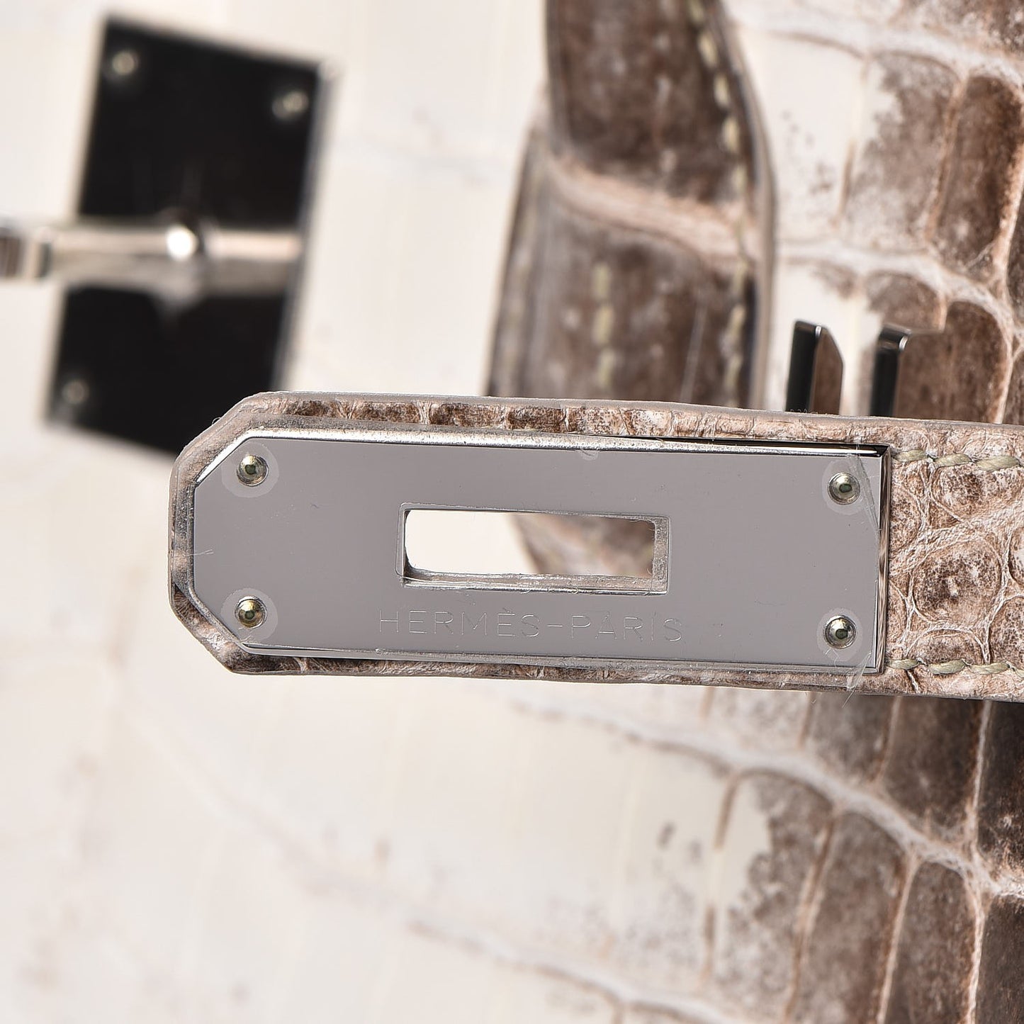 Matte Niloticus Crocodile Himalaya Birkin 30 Blanc