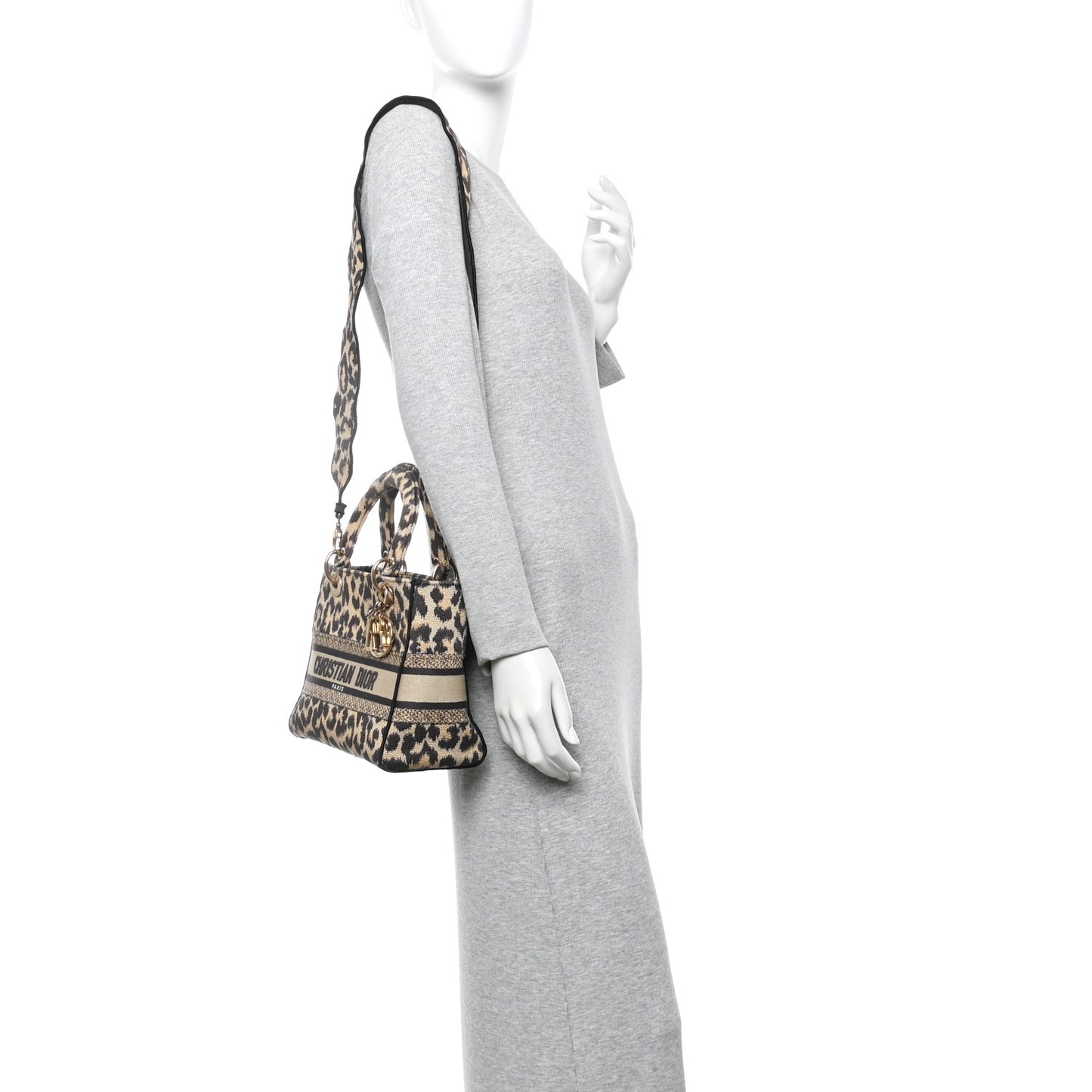 Canvas Medium Mizza Embroidered Lady D-Lite Beige Multicolor