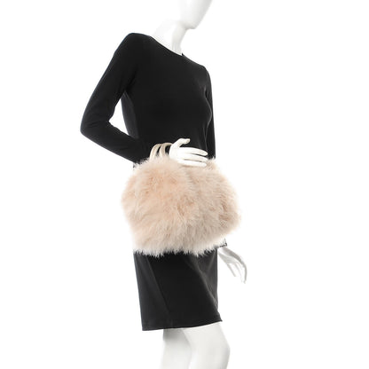 Louis Vuitton Ostrich Feather Speedy 30 Beige 2 of 6