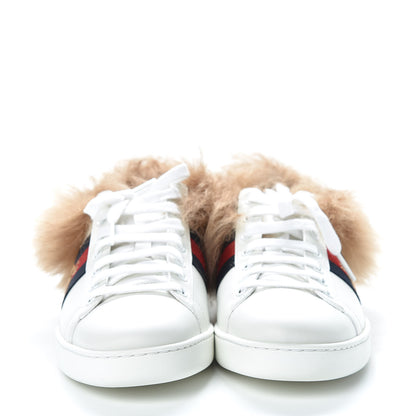 Gucci Calfskin Wool Web Bee Embroidered Womens Ace Sneakers 37.5 White 2 of 8