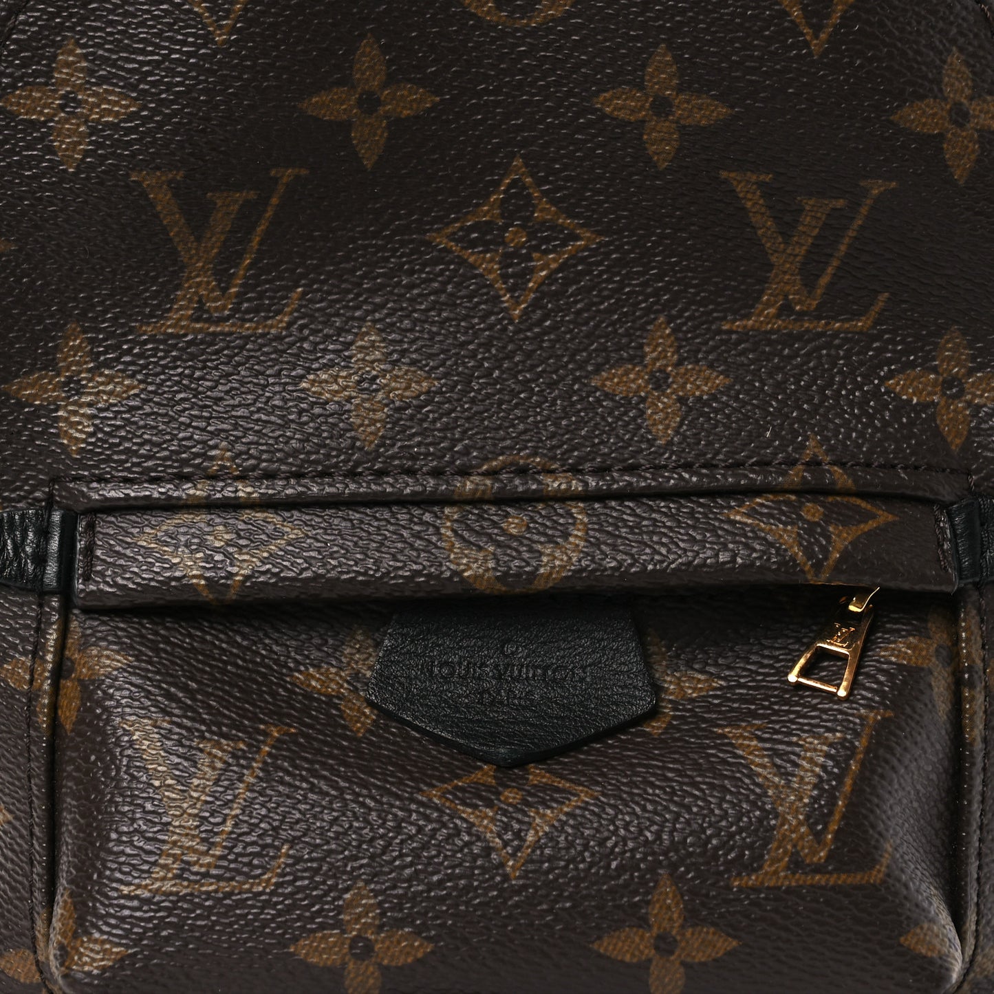 Monogram Palm Springs Backpack Mini
