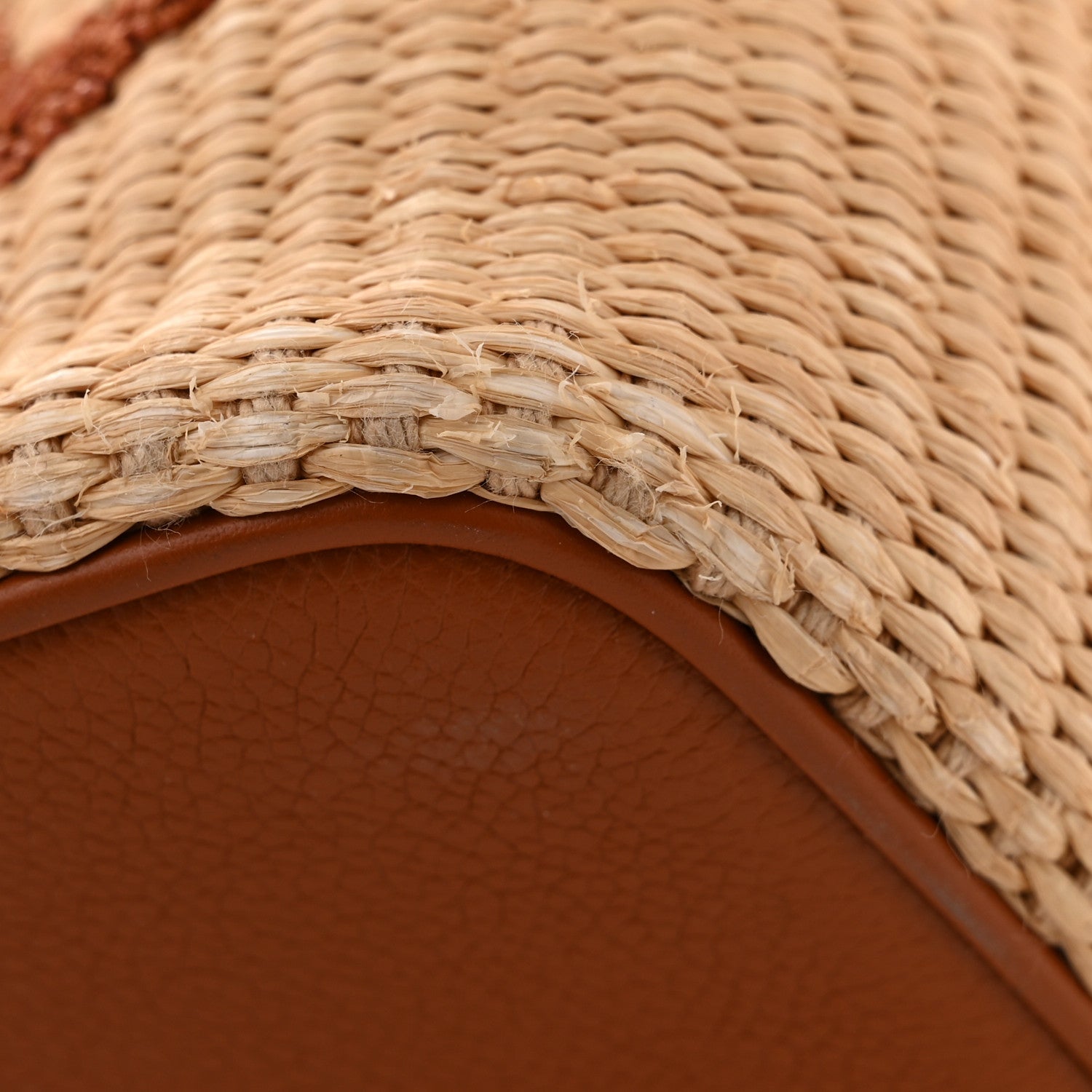 Louis Vuitton Raffia Calfskin Monogram Neonoe MM Tan 10 of 12