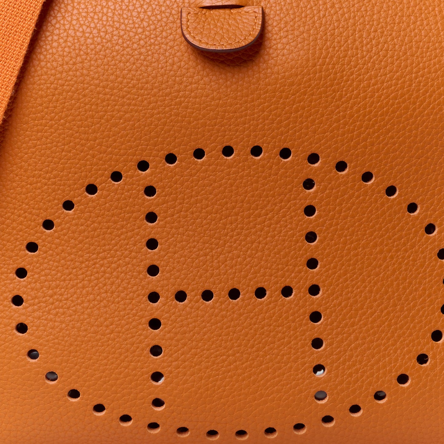 Taurillon Clemence Evelyne II PM Potiron