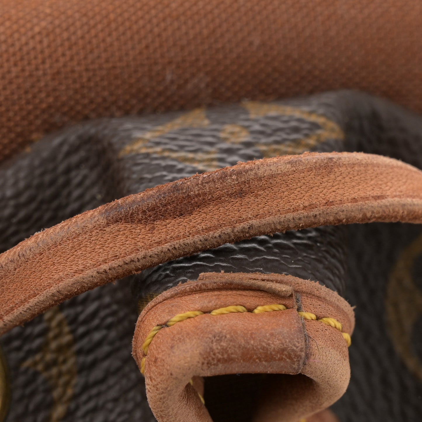 Monogram Montsouris GM Backpack