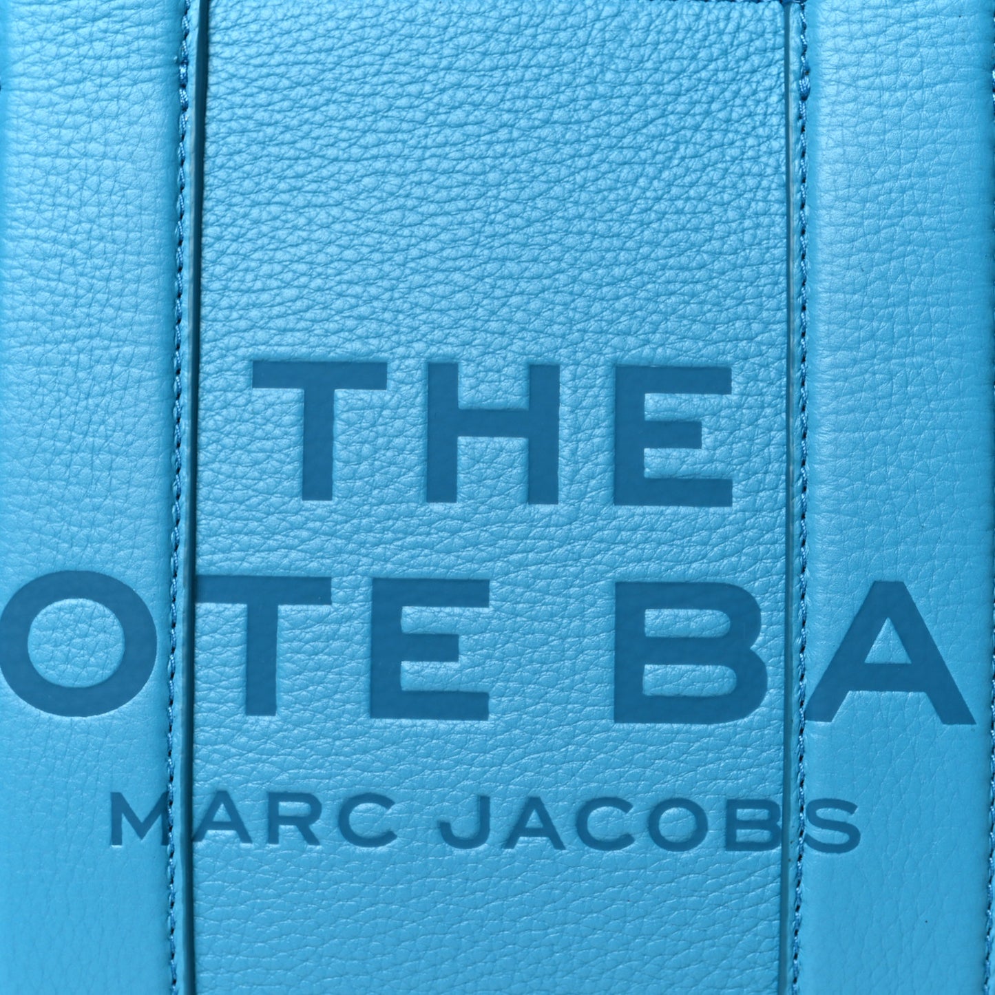 Grained Calfskin Small The Tote Bag Barrier Reef