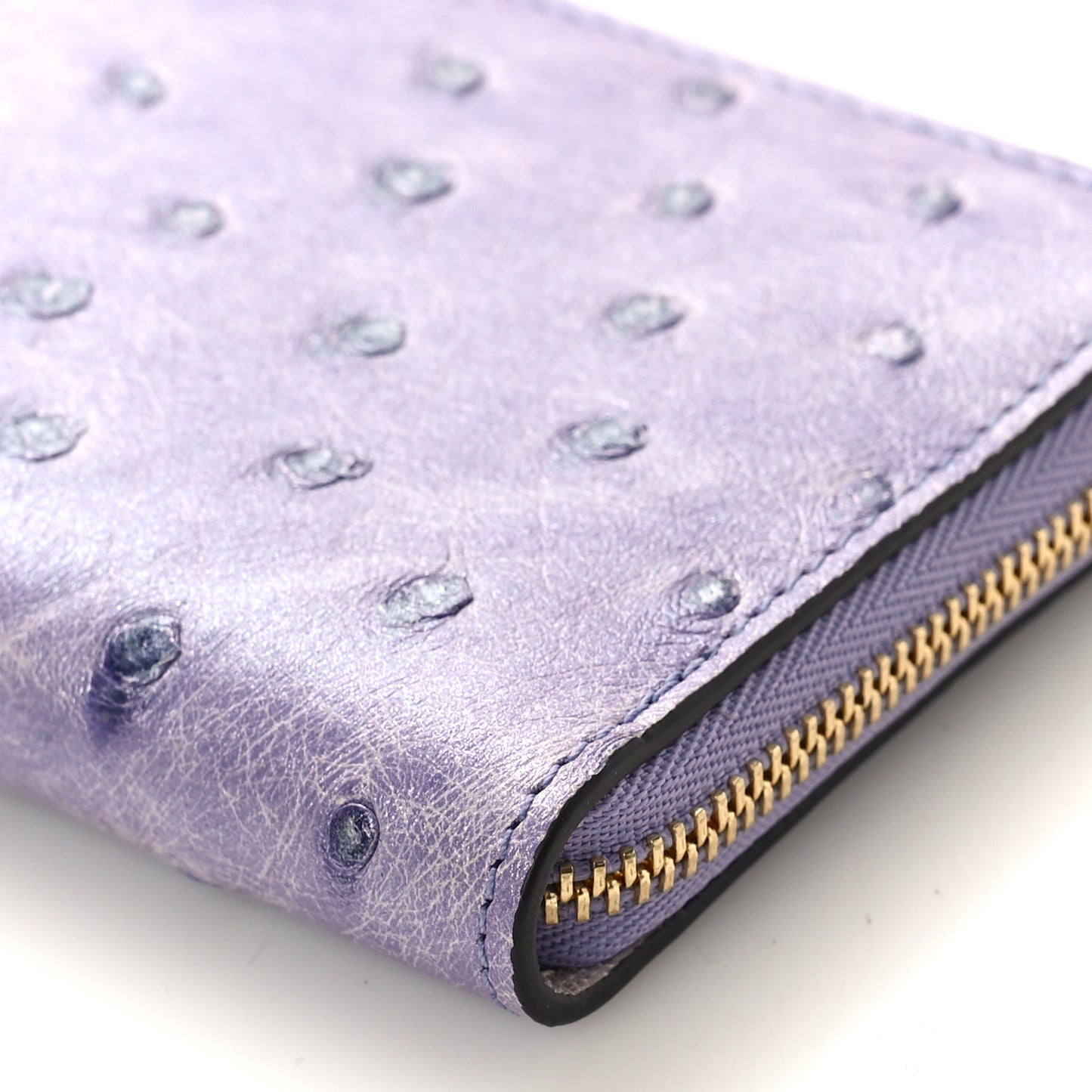 Ostrich Zippy Coin Purse Purple Purple
