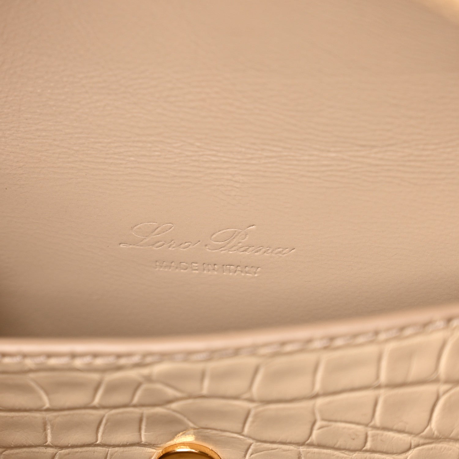 Loro Piana Alligator Extra Bag L27 Beige 6 of 13
