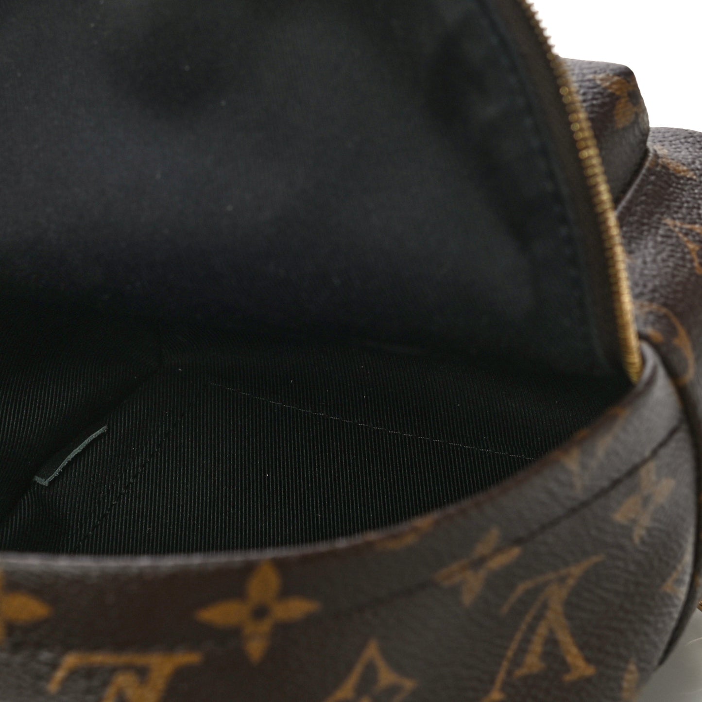 Monogram Palm Springs Backpack Mini