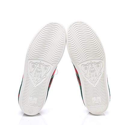 Gucci Terry Cloth GG Monogram Web Womens Ace Sneakers 39 Green Red 6 of 11