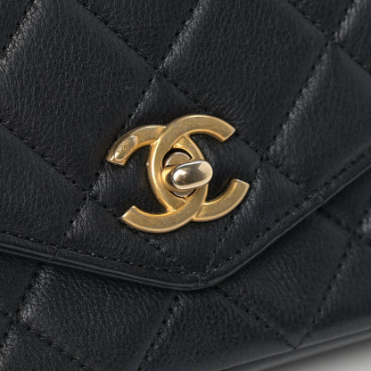 Chanel Calfskin Quilted Flap Waist Bag Black 13 of 15