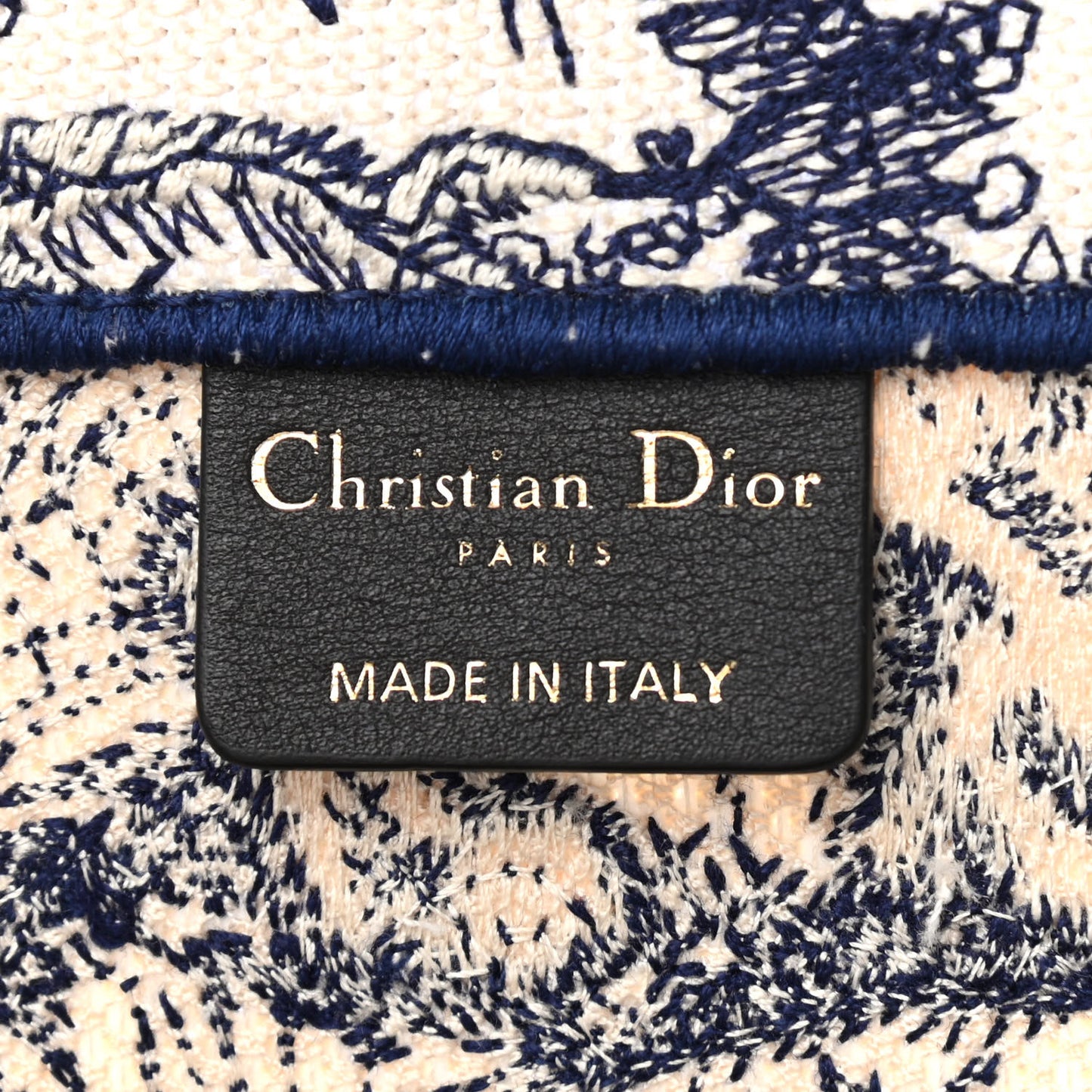 Canvas Embroidered Medium Dioriviera Toile De Jouy Book Tote Blue