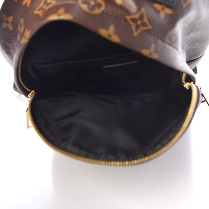 Louis Vuitton Monogram Palm Springs Backpack PM 5 of 9