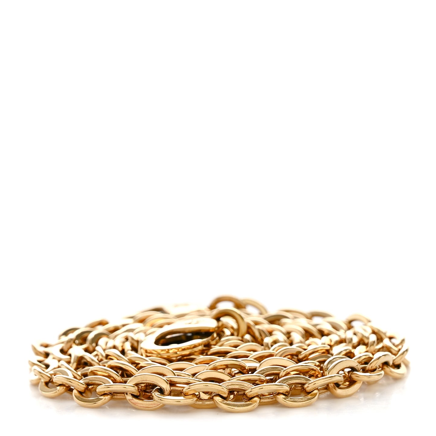 Felicie Chain Long Shoulder Strap