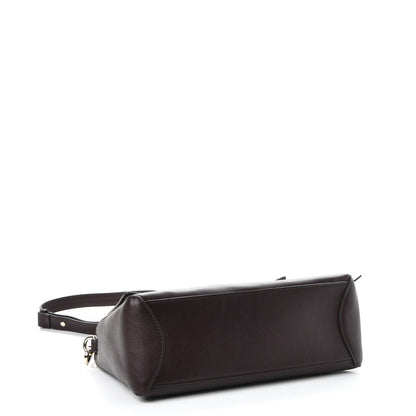 Chloe Calfskin Small Faye Day Shoulder Bag Carbon Brown 4 of 7