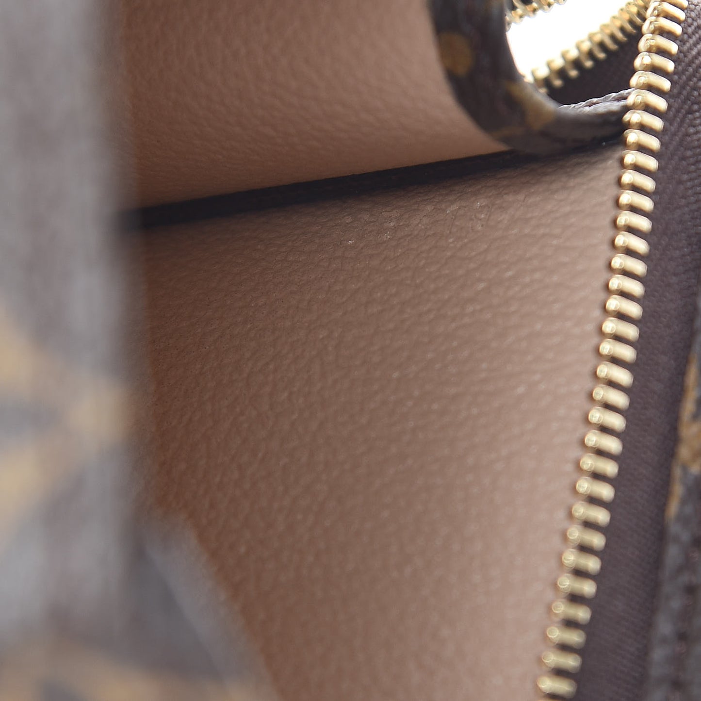 Monogram Toiletry Pouch 19