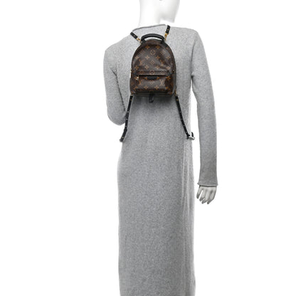 Louis Vuitton Monogram Palm Springs Backpack Mini 2 of 12