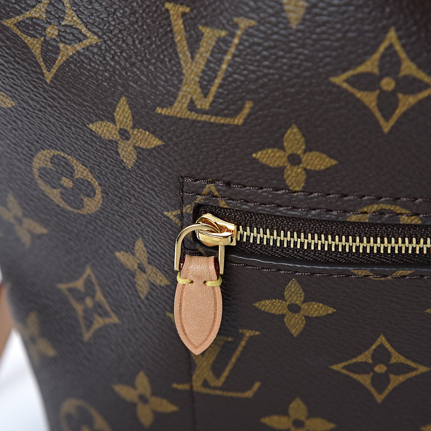 Monogram Montsouris NM Backpack