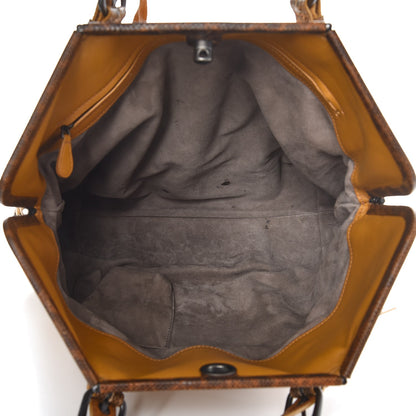 Bottega Veneta Nappa Lizard Intrecciato Frame Tote Resina 5 of 12
