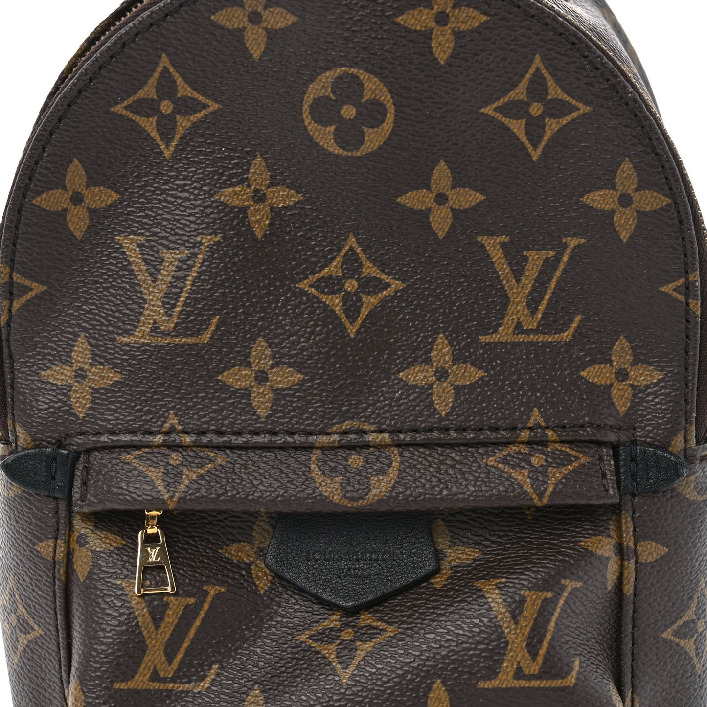 Monogram Palm Springs Backpack Mini