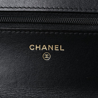 Chanel Goatskin Quilted Chanel 19 Wallet On Chain WOC Black 10 of 15