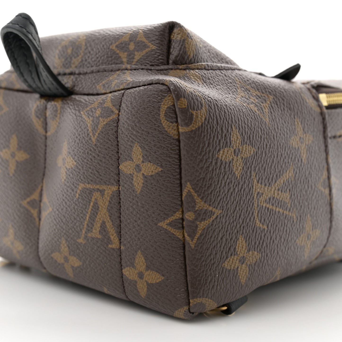 Monogram Palm Springs Backpack Mini