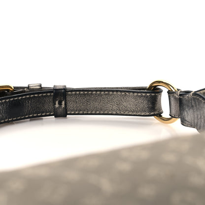 Louis Vuitton Mini Lin Manon MM Platine 13 of 14