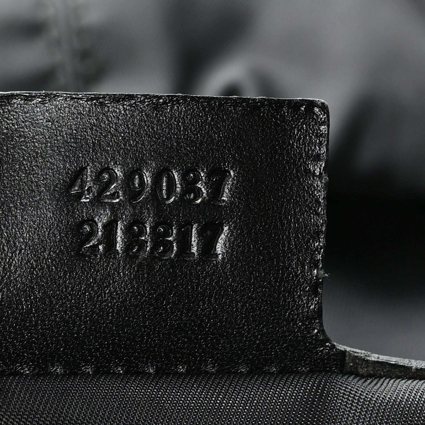 Techno Canvas Web Double Buckle Backpack Black