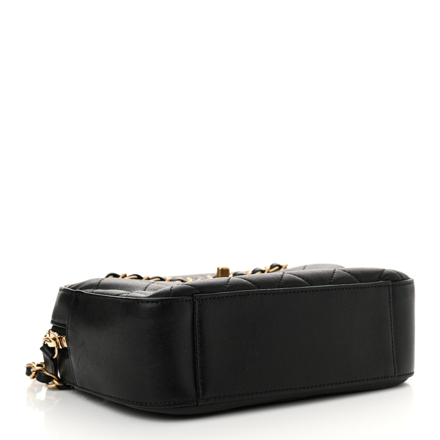 Goatskin Quilted Chanel 19 Camera Case Black