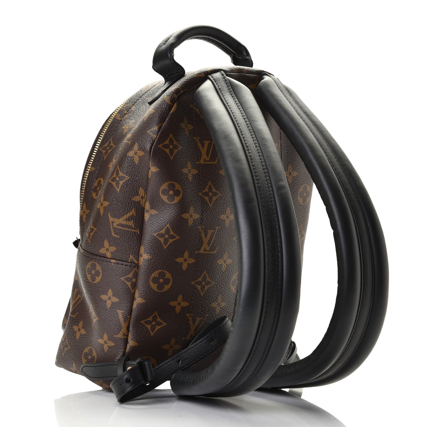 Monogram Palm Springs Backpack PM