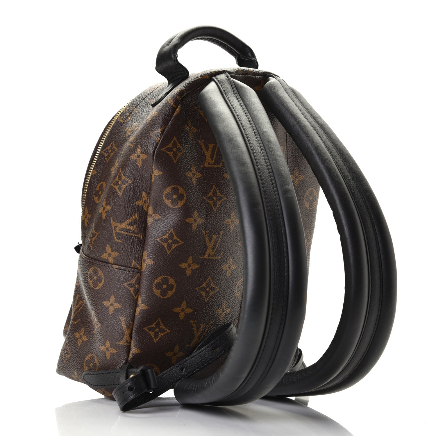 Louis Vuitton Monogram Palm Springs Backpack PM 2 of 4