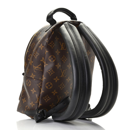 Louis Vuitton Monogram Palm Springs Backpack PM 2 of 4