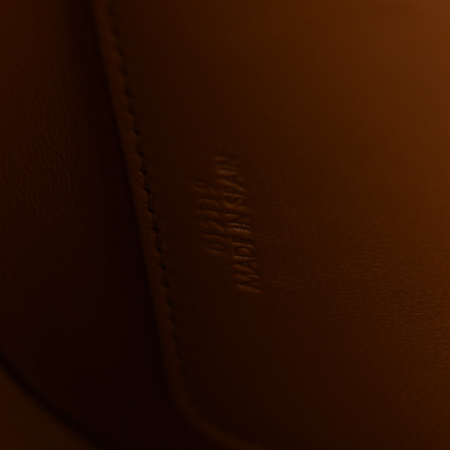 Silk Calfskin Goya Bag Avocado