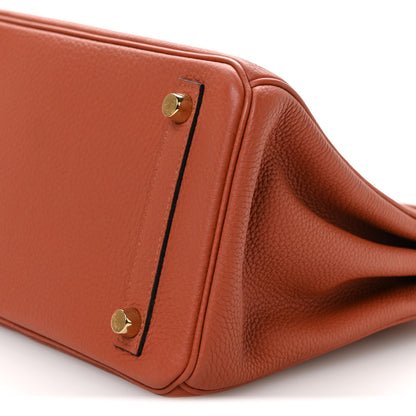 Hermes Togo Birkin 25 Terre Battue 10 of 11