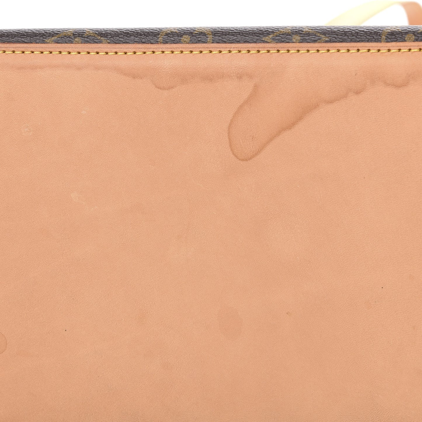 Monogram Cabas Mezzo
